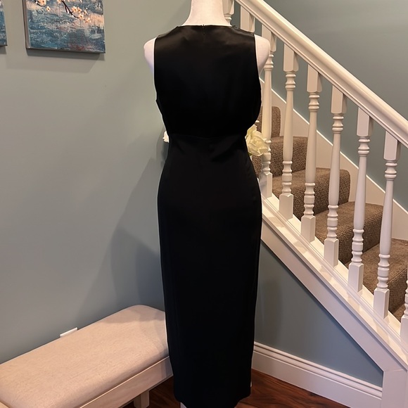 Jones New York sleeveless Size 8p - Picture 3 of 7